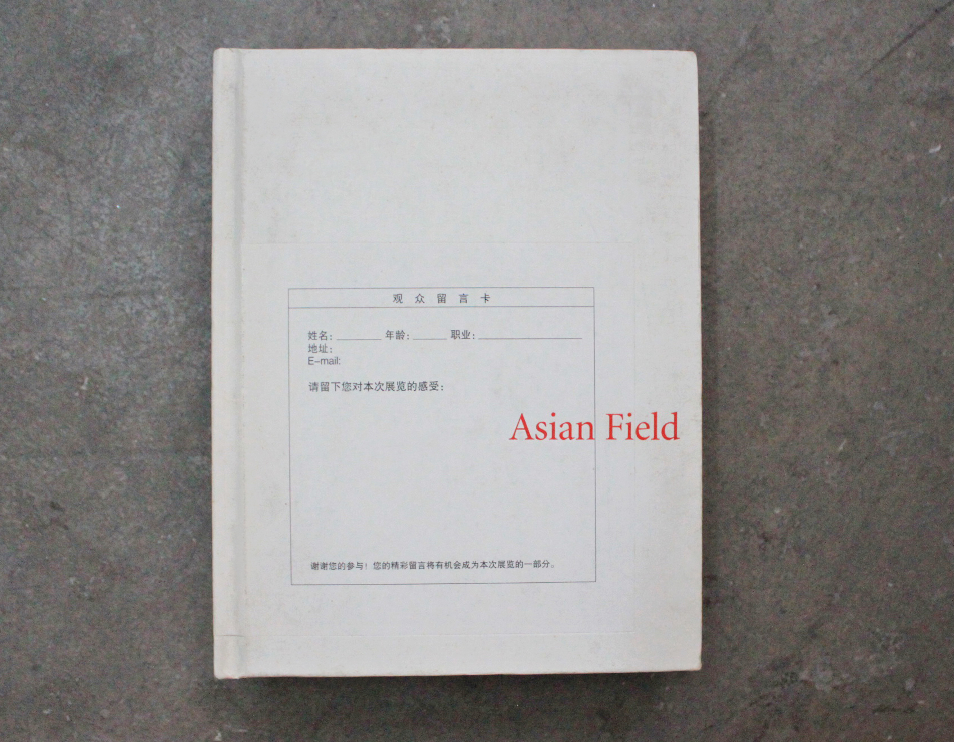 安东尼•葛姆雷：Asian Field（土地） (2)